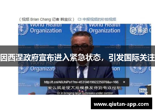 因西涅政府宣布进入紧急状态，引发国际关注